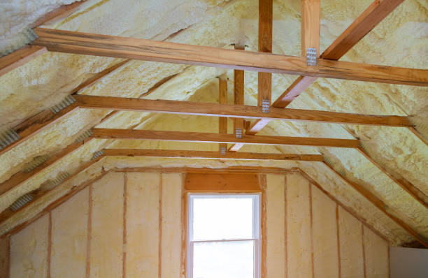 Best DIY Insulation Kits and Guidance in Lucasville, OH