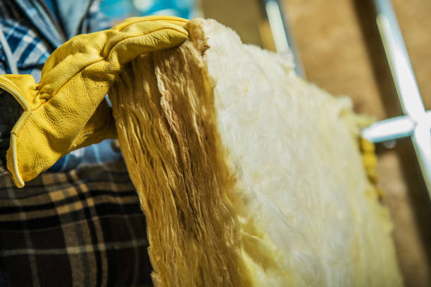 Best Cellulose Insulation in Lucasville, OH
